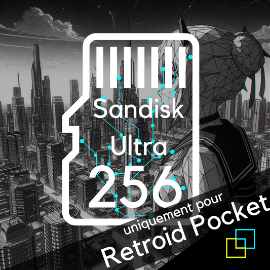 Sandisk Memory Card for Retroid